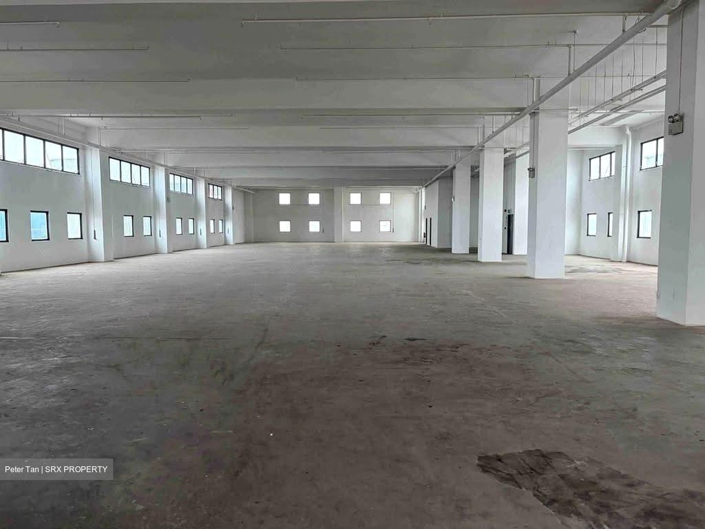 Woodlands Spectrum (D25), Factory #639395011